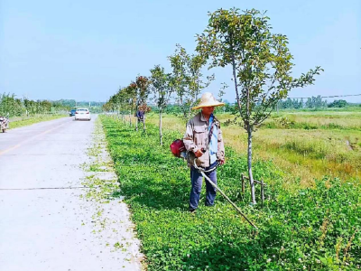 孝昌花西：强化公路养护 扮靓乡村“颜值”