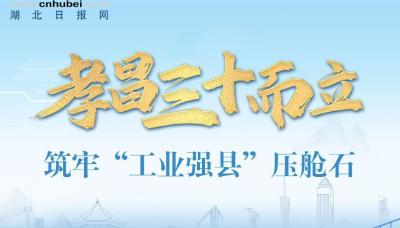 孝昌三十而立·长图丨筑牢“工业强县”压舱石