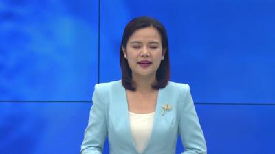 - -陡山乡：荷花盛开 好运“莲莲”