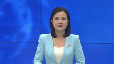 - -王店镇：太子稻机械化插秧忙