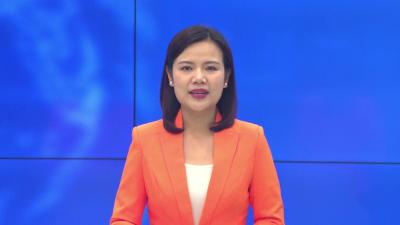 --县领导调研督办邹岗镇美丽乡村示范片和太子米产业园项目建设情况