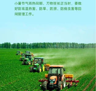 今日小暑，看全国桑拿天地图→