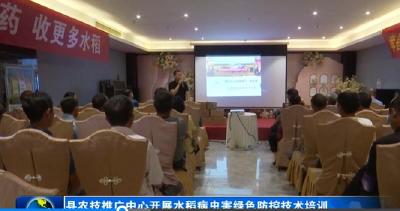 县农技推广中心开展水稻病虫害绿色防控技术培训