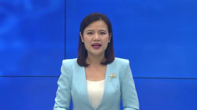 --孝昌县开展红领巾讲解员暑期研学实践活动