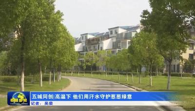 五城同创 | 高温下 他们用汗水守护葱葱绿意