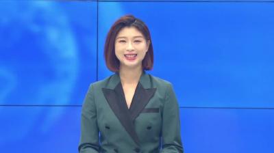 又是一年丰收季  葡萄园里采摘忙