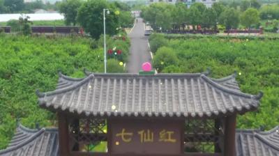 2023年7月13日《孝昌新闻》