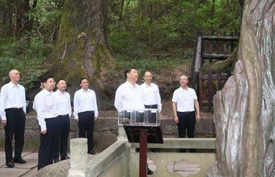 热解读｜千年蜀道满眼绿 总书记凝望中的守护