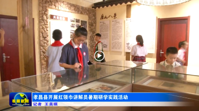 孝昌县开展红领巾讲解员暑期研学实践活动