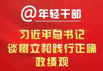 @年轻干部，习近平总书记谈树立和践行正确政绩观