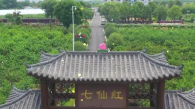 2023年7月14日《孝昌新闻》