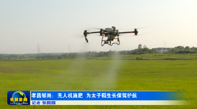 孝昌邹岗：无人机施肥 为太子米生长保驾护航