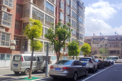 孝昌：提升人居环境 共建美好家园