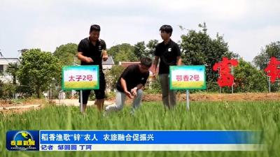 稻香渔歌“锌”农人   农旅融合促振兴
