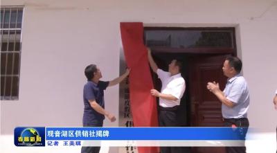 观音湖区供销社揭牌