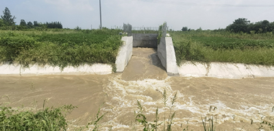 孝昌白沙：应急泵站开机24小时 解3100亩稻田燃眉之急