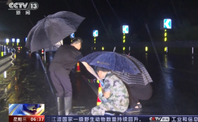 防汛巡查队工作人员默默守护 群众平安度过不眠雨夜