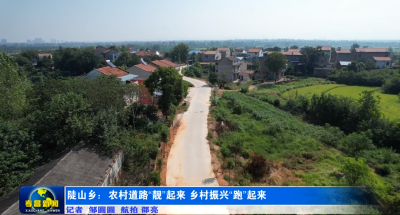 陡山乡：农村道路“靓”起来 乡村振兴“跑”起来