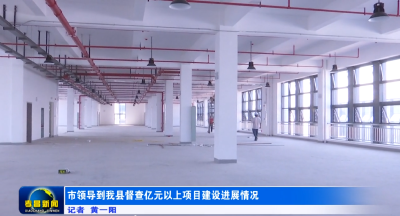 市领导到我县督查亿元以上项目建设进展情况