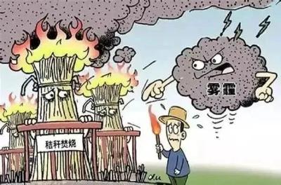 罚款！拘留！露天焚烧秸秆违法，后果很严重！