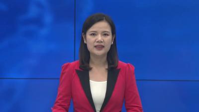 --中国物流集团领导来孝昌调研产业振兴工作