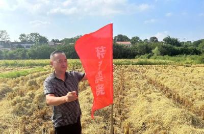 孝昌小河：秸秆禁烧不松懈  精准发力强管控