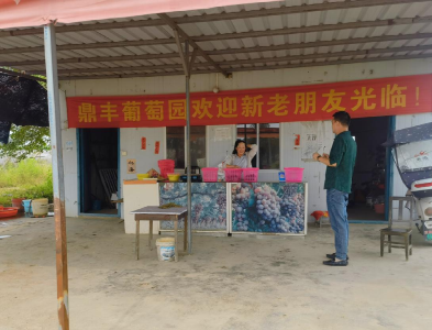 一个卖葡萄的农户这样提炼“卖点”