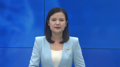 --港中旅华贸国际物流股份有限公司到卫店镇开展帮扶项目督导调研工作