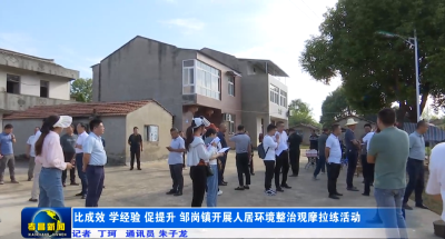比成效 学经验 促提升 孝昌邹岗开展人居环境整治观摩拉练