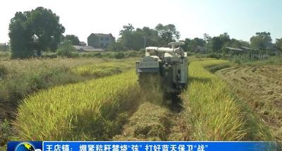 王店镇：绷紧秸秆禁烧“弦” 打好蓝天保卫“战”