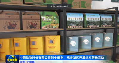 中国铁物股份有限公司到小悟乡、观音湖区开展结对帮扶活动
