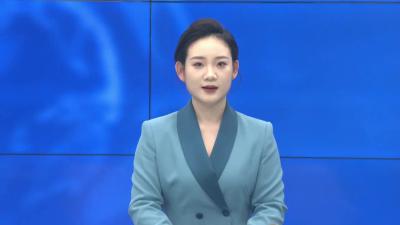 --李惠芬调研在建工业项目