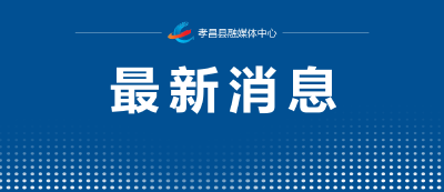 校外培训违法行为如何处罚？教育部最新发布