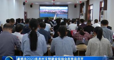 孝感市2023年农村文明建设现场会在我县召开