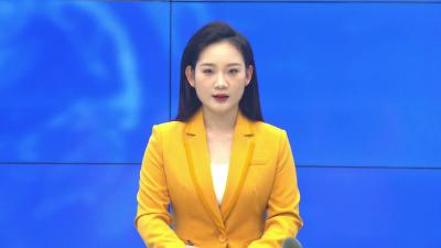 --花园镇：“亮灯行动”摸清家底  扎实推进“五经普”工作