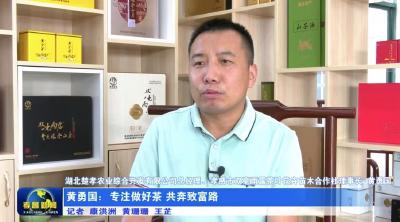 黄勇国：专注做好茶  共奔致富路
