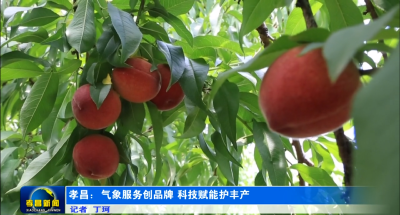 孝昌：气象服务创品牌 科技赋能护丰产