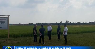 中国包装有限责任公司到我县邹岗镇开展调研