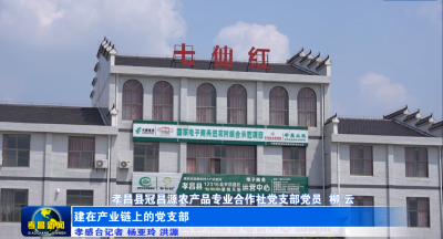 建在产业链上的党支部
