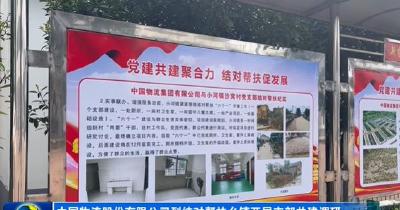 中国物流股份有限公司到结对帮扶乡镇开展支部共建调研