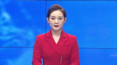 风脉能源（武汉）股份有限公司、广东邦盛北斗农业科技有限公司到我县考察