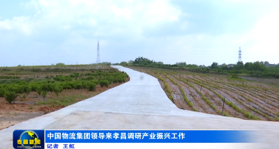 中国物流集团领导来孝昌调研产业振兴工作