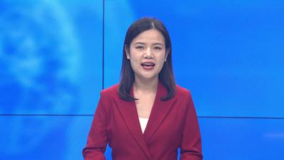 ---国庆村里庆国庆 千亩迷迭香香满村