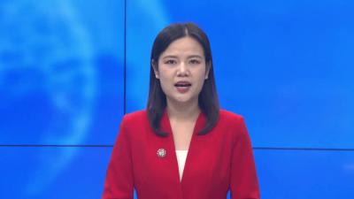 全县宣传思想文化系统工作会议召开