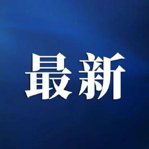 21人被查，8人被处分！