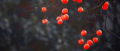 关 于 霜 降 的 24 句 话 ！