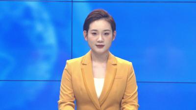 台盟省委会赴孝昌开展中医药产业调研