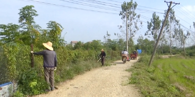 白沙镇：清理道路环境 消除隐患保障通畅