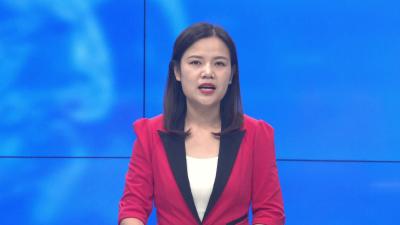 --白沙镇：秋播生产正当时 农忙绘就好“丰”景