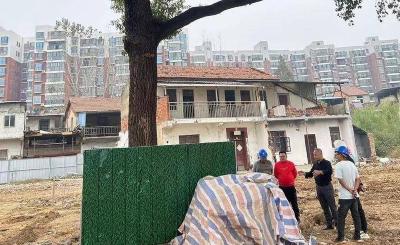 孝昌园林：守护城市大树 留住城市记忆